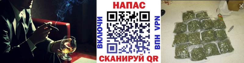 Шишки марихуана план  Карачаевск 